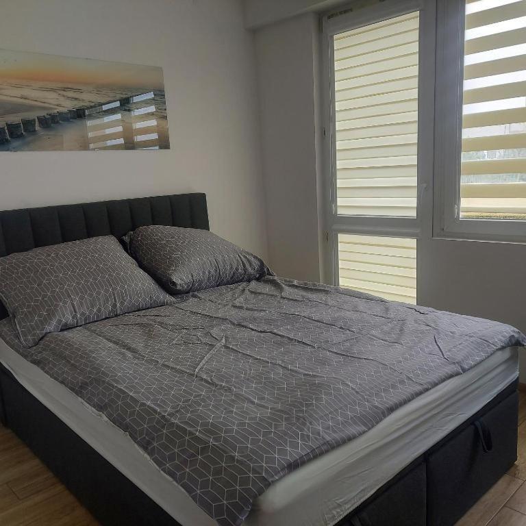Apartament Mira Rzeszów Eksteriør bilde